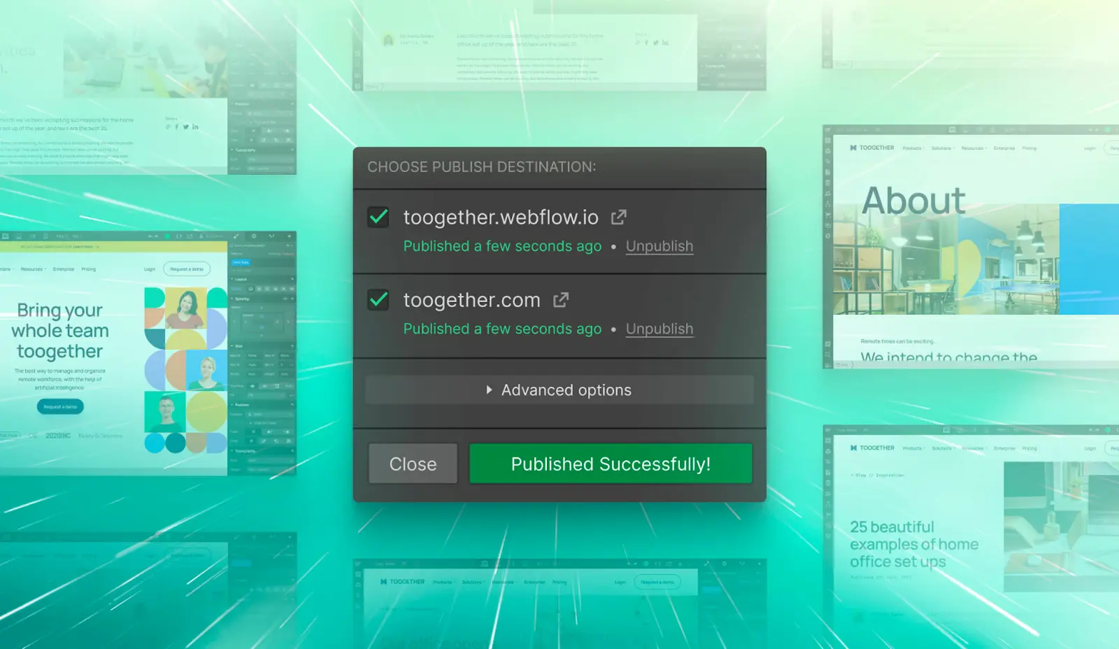 Pre-Launch Webflow Tips